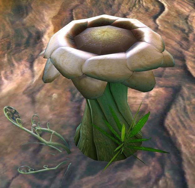 File:Sylvan Seedstool.jpg
