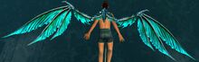 Water Dragon Wings Glider.jpg