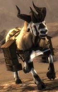 Arid Pack Dolyak.jpg