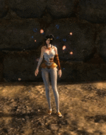Chak Animation 1.gif