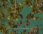 Forgotten Debris 17.jpg