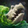 Gravewater Ooze.png