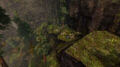 Iboga Burrows.jpg