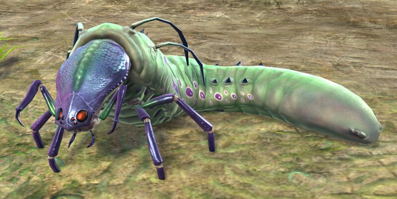 File:Jungle Grub.jpg