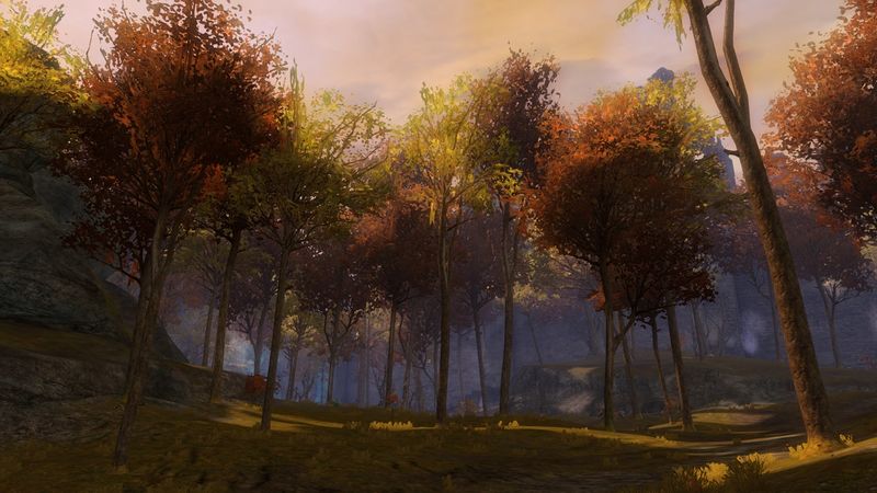 File:Martyr's Woods.jpg
