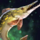 Royal Pike.png