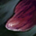 Skelk Liver.png