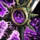 Sunspear Greatblade.png