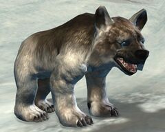 Young Arctodus.jpg