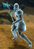 Ascalonian Captain.jpg
