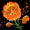 Dandelion Blossom.png