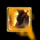 Growing Rage.png