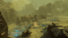 Helcoid Seeps.jpg