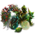 Knight of the Grove Package.png