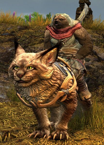 File:Lowland Kodan Wildstalker rider (hood).jpg