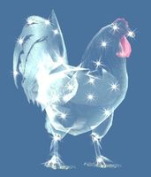 Mini Celestial Rooster.jpg