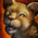 Mini Lion Cub.png