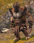 Ogre Brute.jpg