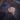 Portrait of Caudecus.png