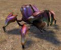 Scarab.jpg