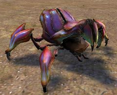Scarab.jpg