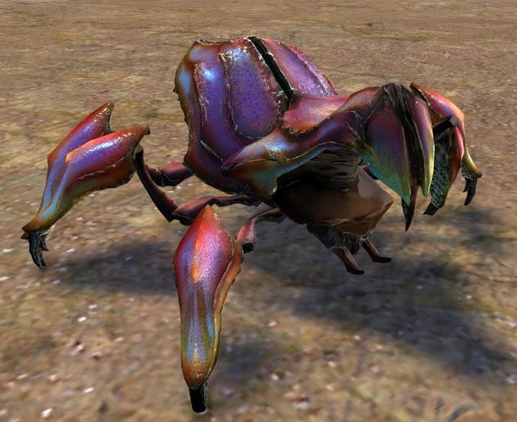 File:Scarab.jpg