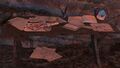 Thumbnail for version as of 02:27, 20 February 2025