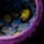 Skyscale Egg 11.png