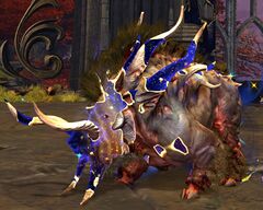 Transcended Boar.jpg