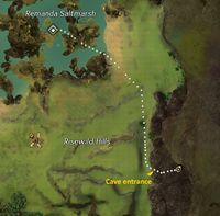 Trek Risewild Green Location.jpg