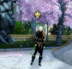 Tyrian taste testing location 5.jpg