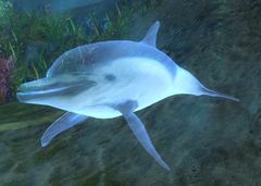 Water Spirit (underwater).jpg