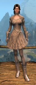 Appearance on light armor.