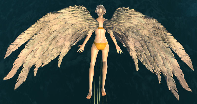 File:White Feather Wings Glider.jpg