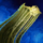 Banner of the Bastion of the Natural.png