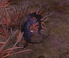 Broken Egg.jpg