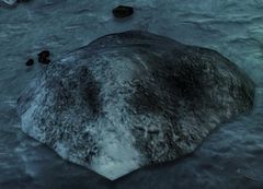 Buried Vigil.jpg