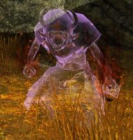 Illusionary Orrian Thrall (alt).jpg