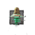 Juvenile Red Jellyfish.png