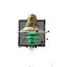 Juvenile Red Jellyfish.png