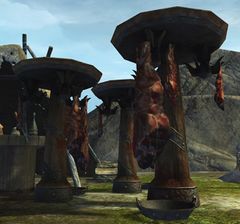 Meat Stand.jpg