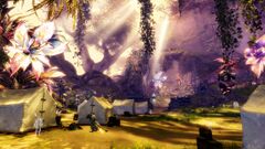 Mist Warden Camp.jpg