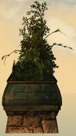 Rectangular Planter side.jpg