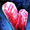 Ruby Crystal.png