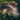 Black Bass