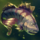 Black Bass.png