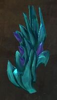 Dragon's Gaze.jpg