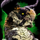 Flare-Marked Skyscale Skin.png