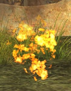 Grass Fire.jpg