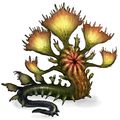 Iboga
